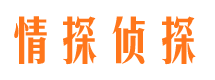 岱岳找人公司